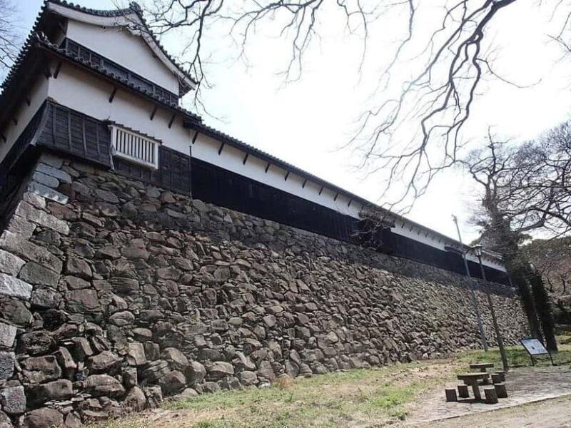 Fukuoka: Unforgettable Customizable Walking Tour Guide - Final summary