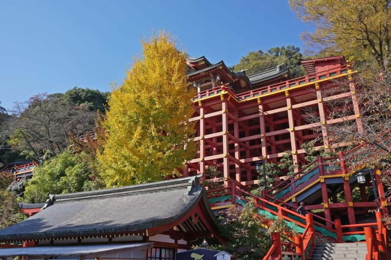 Fukuoka: Ytoku Inari Shrine & Ureshino Guided Tour - Who is this tour best suited for?
