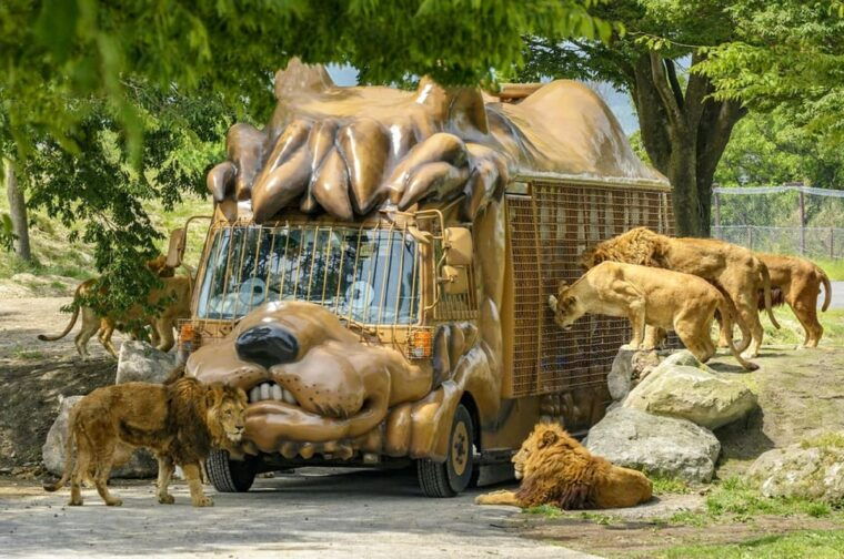 fukuokaday-trip-to-yufuin-beppu-hell-onsen-and-animal-park