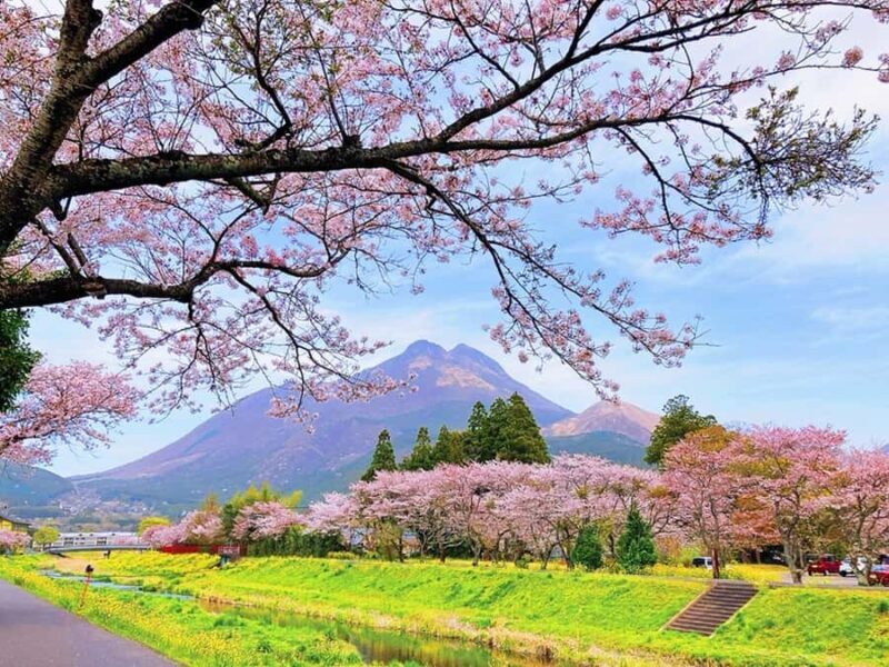 FukuokaDazaifu,Yufuin Village,Beppu Ropeway,Kamado Jigoku - FAQ