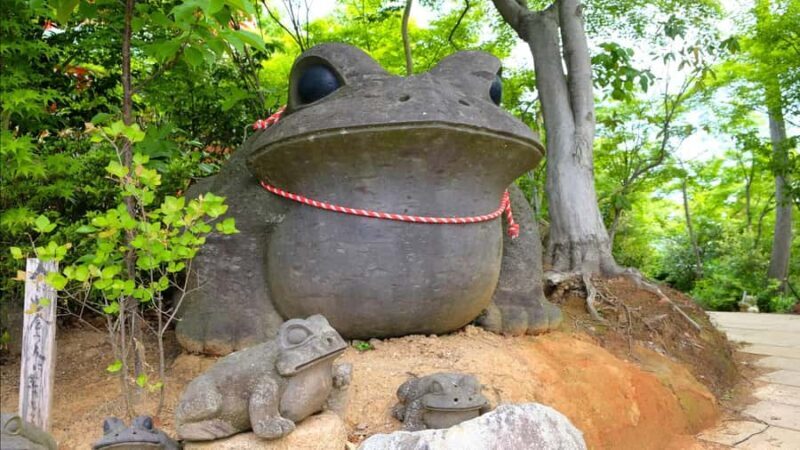 Fukuoka:Frog Temple, Beppu Hell Springs Tickets Incl &Yufuin - Introduction: What’s This Tour All About?