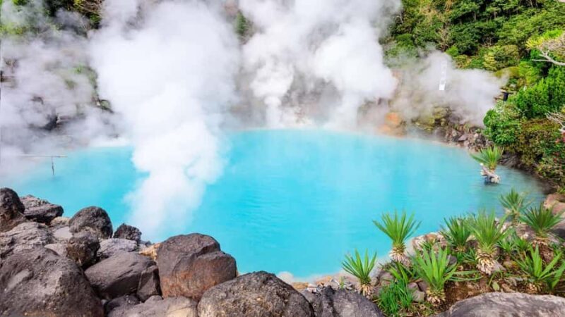 Fukuoka:Frog Temple, Beppu Hell Springs Tickets Incl &Yufuin - The Sum Up