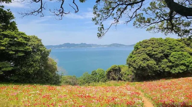 Fukuoka:Nokonoshima Island Day Trip with Tour Guide& Driver - The Experience in Context: Pros & Cons