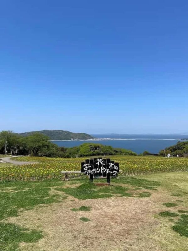 Fukuoka:Nokonoshima Island Day Trip with Tour Guide& Driver - Final Thoughts: Who Will Love This Tour?