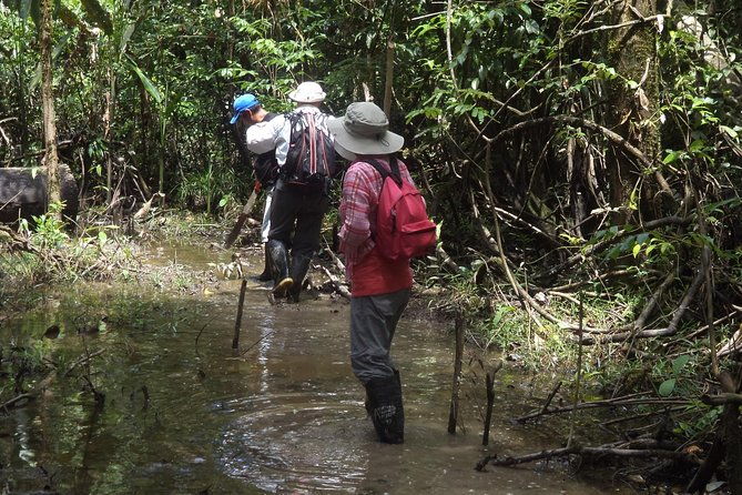 full-adventure-deep-in-the-jungle-3-days-2-nights-360-usd