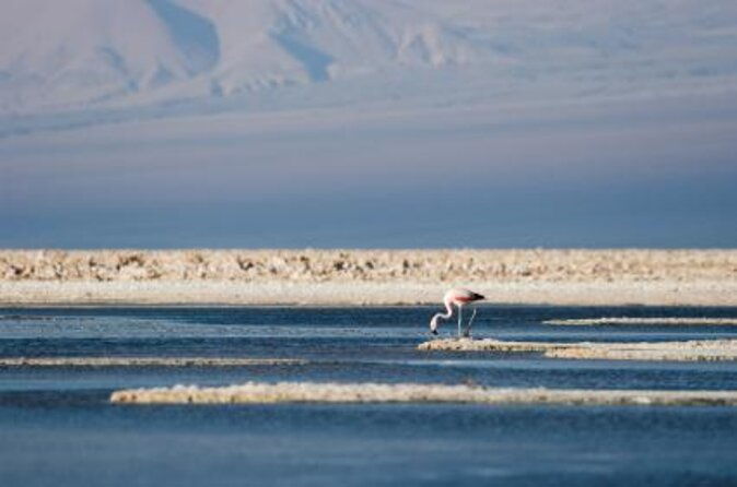 full-atacama-sorbac-private-groups