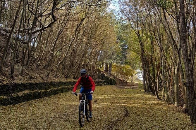 full-circuit-of-etna-by-mtb-small-group