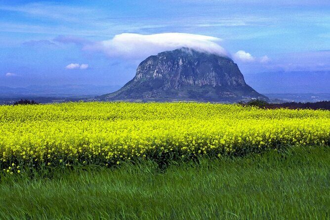 Full Day 12 hours whole Jeju Island private flexible tour - Key Points