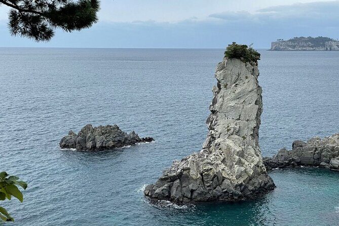 Full Day 12 hours whole Jeju Island private flexible tour - Who is This Tour Best For?