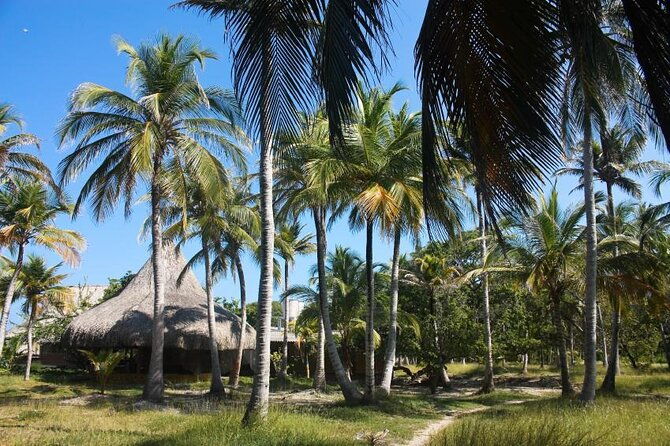 full-day-3-private-islands