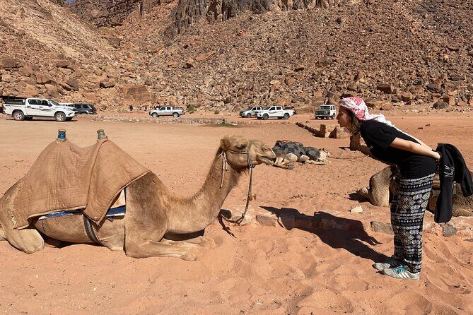 Full Day 4x4 Classic Desert Tour with overnight in private tent - Authenticity and Review Highlights