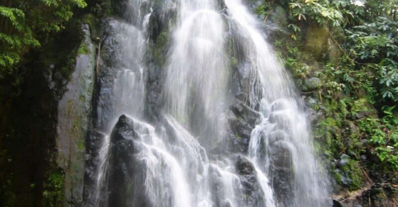 Full-Day 4x4 Nordeste Azores Tour from Ponta Delgada - The Experience of Guides and Group Size