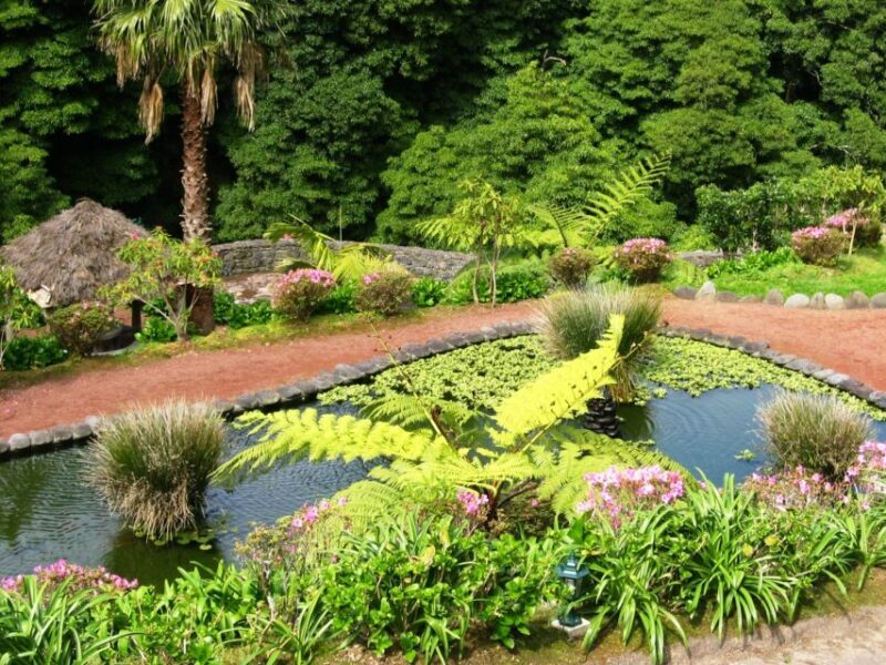 Full-Day 4x4 Nordeste Azores Tour from Ponta Delgada - Authentic Insights from Travelers