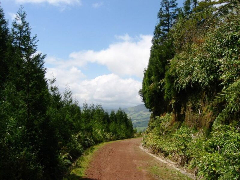 full-day-4x4-nordeste-azores-tour-from-ponta-delgada