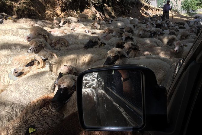 full-day-4x4-tour-in-the-eastern-carpathians