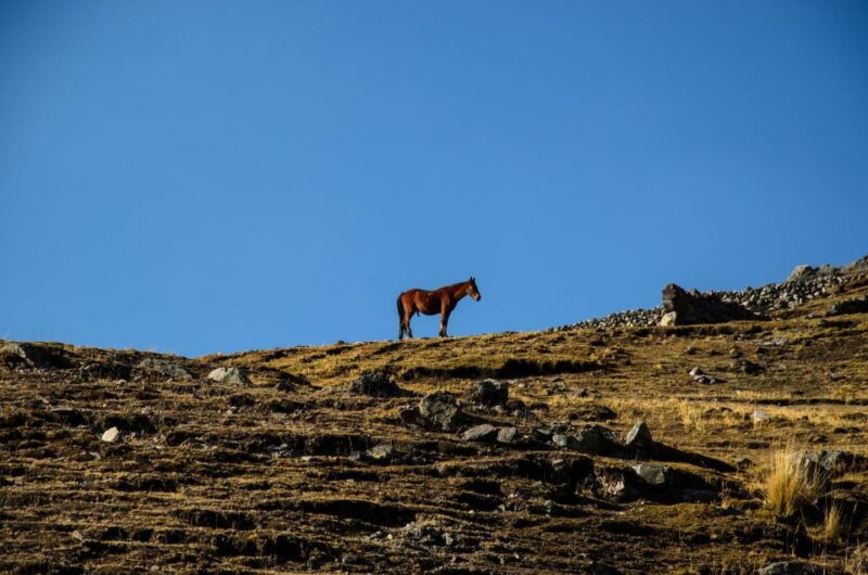 full-day-7-lakes-of-ausangate-group-tour