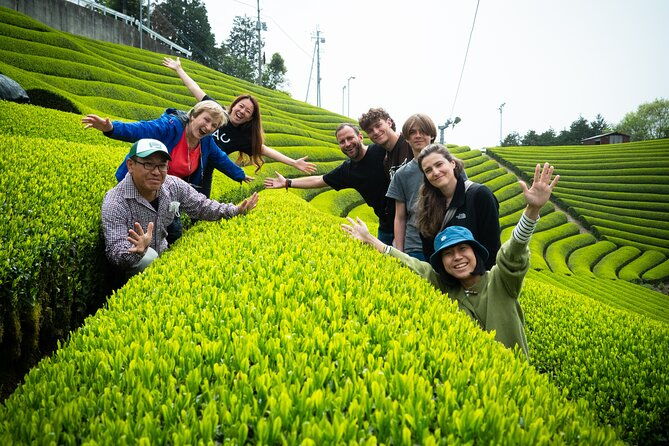 full-day-7hr-private-van-true-hidden-kyoto-matcha-farm-experience