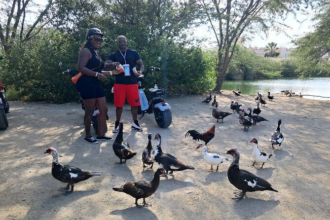 full-day-8-hours-electric-scooter-rental-in-aruba