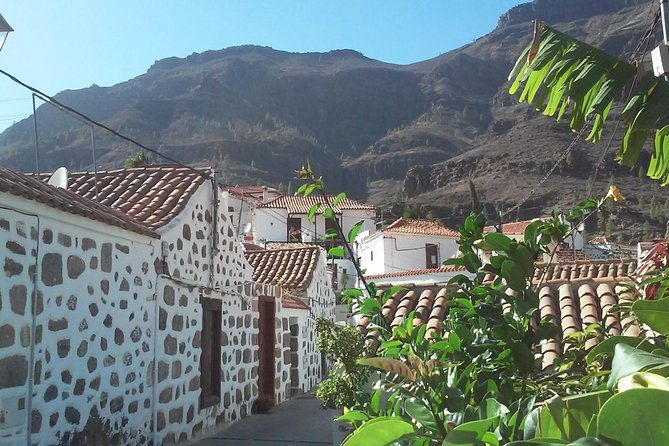 full-day-across-the-island-tour-from-las-palmas