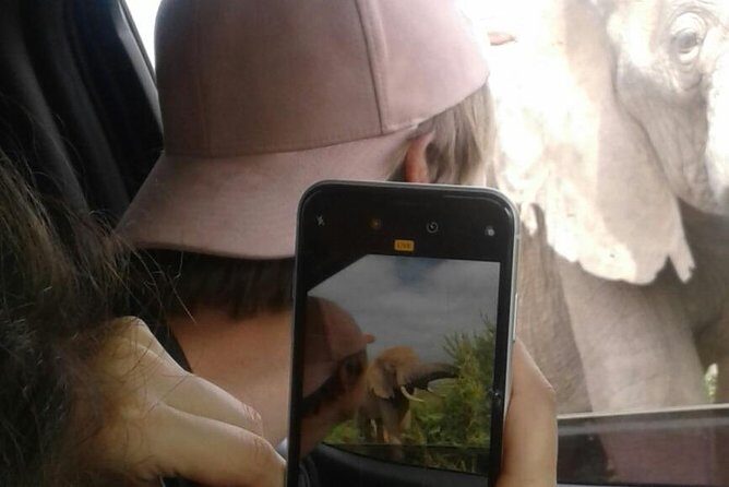 Full Day Addo Elephant National Park Safari wit BBQ:Thentic Tours - Final Thoughts