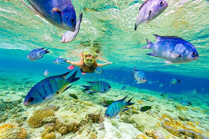full-day-adventure-4x4-experience-snorkeling-cruise-sharks-rays