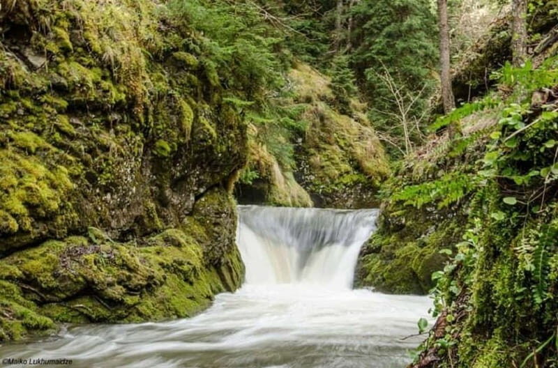 Full Day Adventure in Borjomi! - Key Points