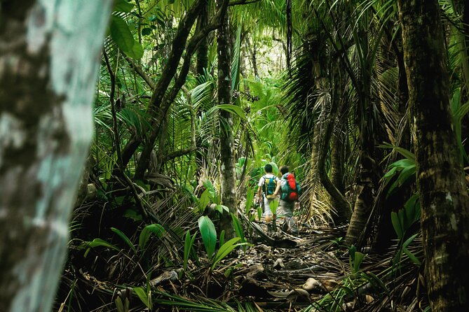 full-day-adventure-in-corcovado-national-park-from-drake-bay