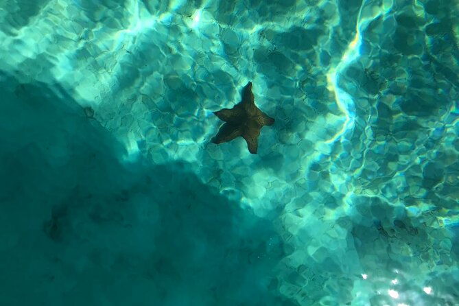 full-day-adventure-to-saona-island