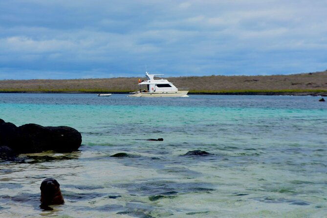 full-day-adventure-tour-at-espanola-island-waved-albatross-island