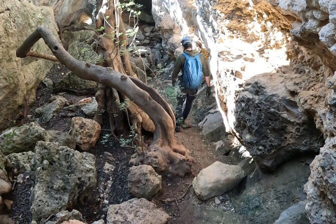 full-day-adventure-trail-rock-climbing