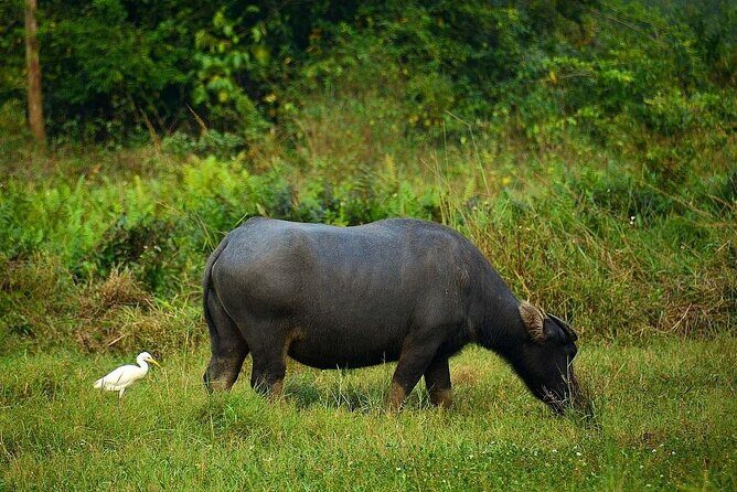 Full-Day Adventure: Trekking and Hiking in Cat Ba National Park - Final Thoughts