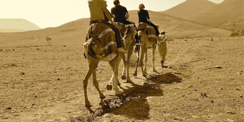 Full-Day Agafay Desert & Atlas Mountains Tour With Camels - Discovering the Agafay Desert and Atlas Mountains