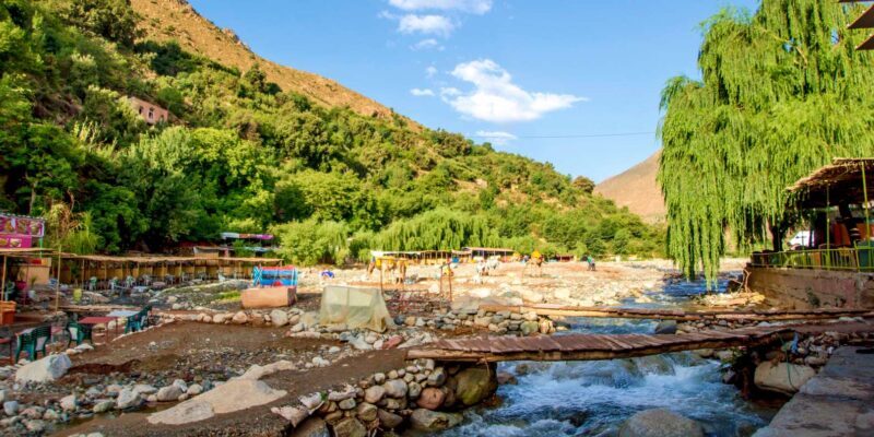 Full-Day Agafay Desert & Atlas Mountains Tour With Camels - Authentic Experiences That Leave an Impression