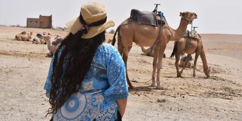 Full-Day Agafay Desert & Atlas Mountains Tour With Camels - Who Is This Tour Best For?