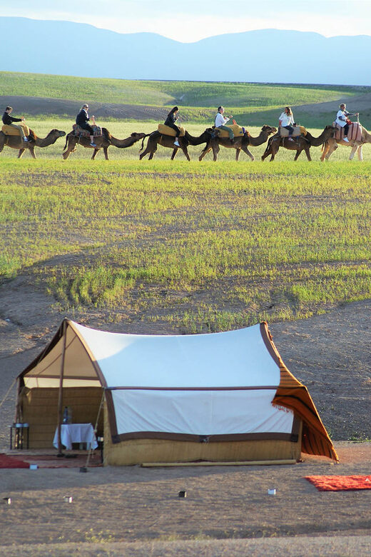 Full-Day Agafay Desert & Atlas Mountains Tour With Camels - Final Thoughts