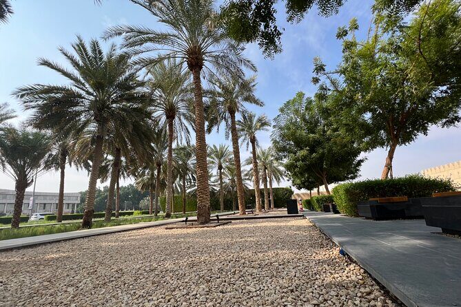 Full Day Al Ain City Tour with Lunch - Key Points