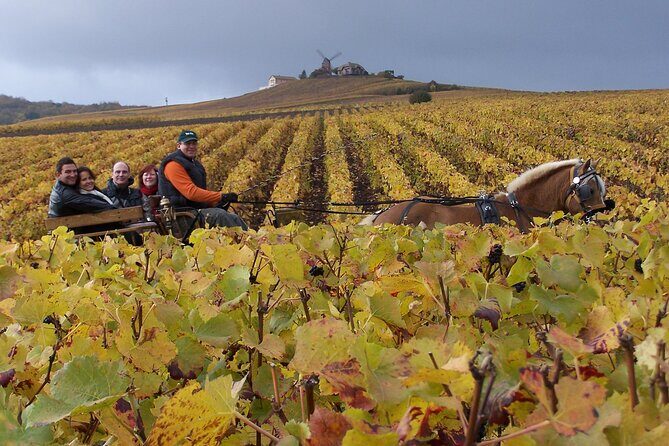 Full Day All-inclusive Tour in Champagne from Paris in a Minivan - Full Day All-inclusive Tour in Champagne from Paris in a Minivan: An Honest Review