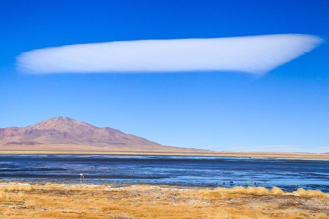 full-day-altiplanic-lagoons-red-stones-viewpoint-salar-de-atacama
