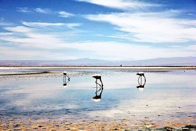 full-day-altiplanic-lagoons-red-stones-viewpoint-salar-de-atacama