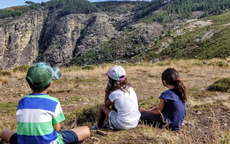 full-day-alvao-park-fisgas-ermelo-waterfalls-w-transfer