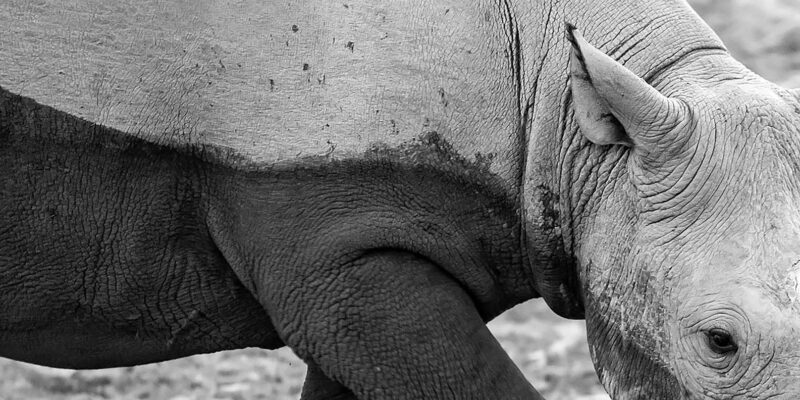 Full Day Aquila Safari (German) - The Experience from a Reviewers Perspective