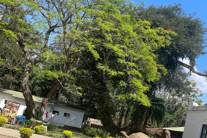 Full Day Arusha City Tour - The Sum Up  