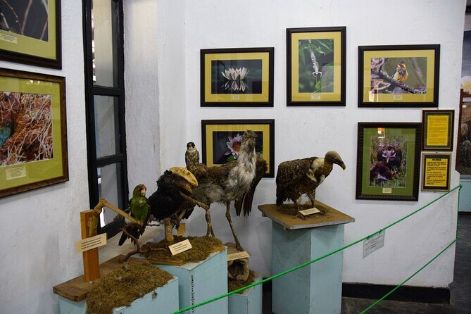 Full Day Arusha City Tour - FAQ  