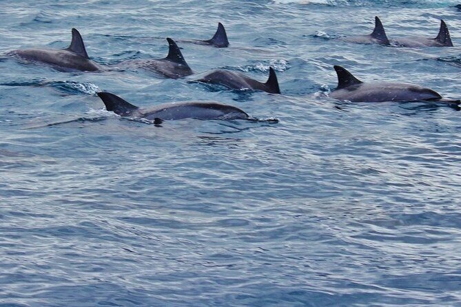 Full Day at Ile Des Deux Cocos - Who Will Love This Tour?