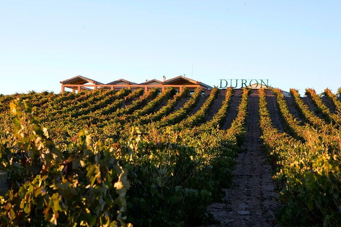 full-day-at-the-winery-visit-tasting-aperitif-and-lunch
