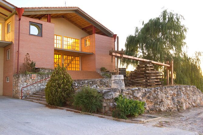 full-day-at-the-winery-visit-tasting-aperitif-and-lunch