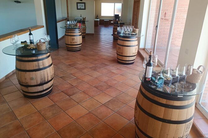 full-day-at-the-winery-visit-tasting-aperitif-and-lunch