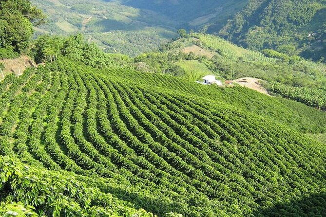 full-day-atitlan-lake-with-lunch-from-quetzal-port