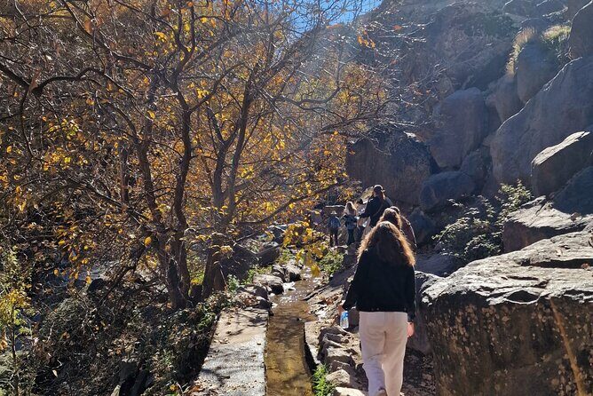 Full-Day Atlas Mountains & Imlil Valley Adventure from Marrakech - The Sum Up