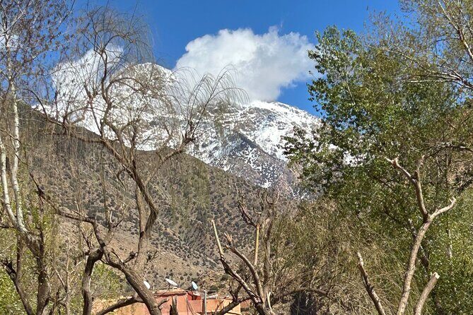 Full Day Atlas Mountains Private Day Tour From Marrakech - Exploring the Atlas Mountains: A Comprehensive Review of the Full Day Private Tour from Marrakech